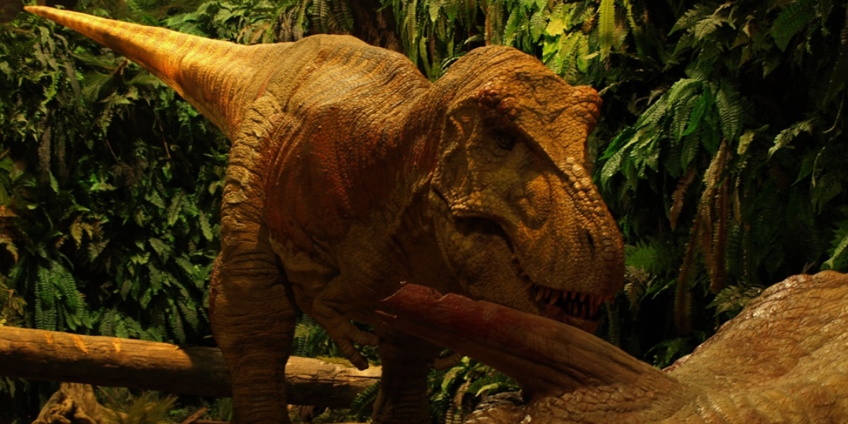 Gondwana-das Praehistorium Gondwana-das Praehistorium