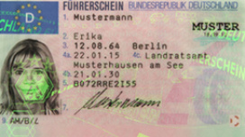 Muster für Führerschein Muster für Führerschein