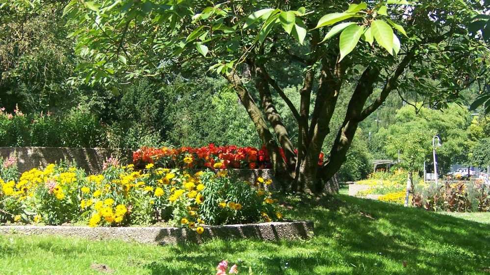 Garten am Silberahorn Garten am Silberahorn