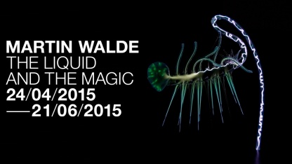 Martin Walde - The Liquid and the Magic