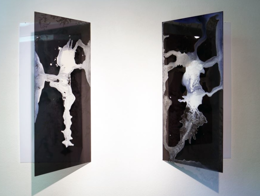 Aude Legrand, "133__560 M et 133__560 M", Installation toile, gravure sur plexiglass, acrylique, 100x50x41cm, 2016