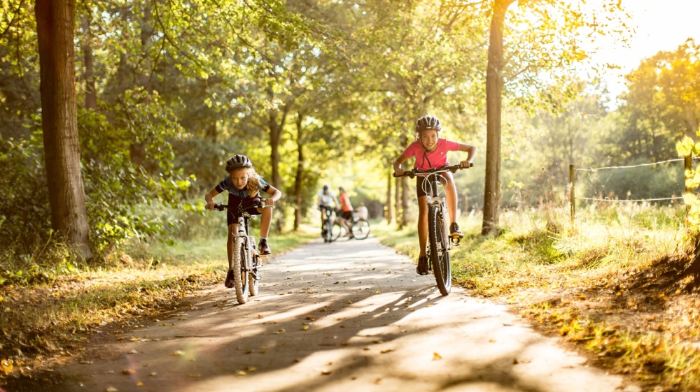 Fahrradfahrer (©RV_Timo Rende) Fahrradfahrer (©RV_Timo Rende)