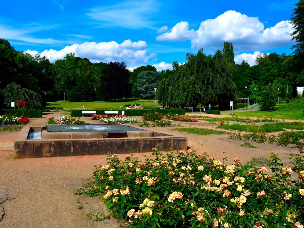 Rosengarten im DFG (Foto: Dieter Schilz) Rosengarten im DFG (Foto: Dieter Schilz)