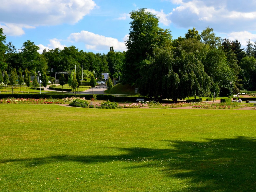 Rosengarten im DFG (Foto: Dieter Schilz) Rosengarten im DFG (Foto: Dieter Schilz)