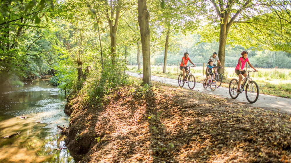 Fahrradfahrer (©RV_Timo Rende) Fahrradfahrer (©RV_Timo Rende)