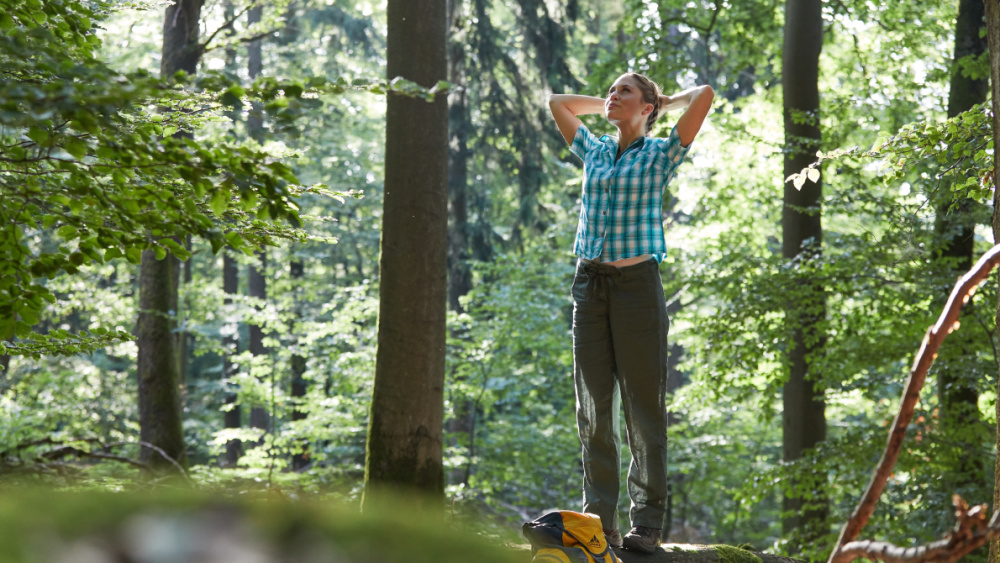Urwald vor den Toren der Stadt Urwald vor den Toren der Stadt