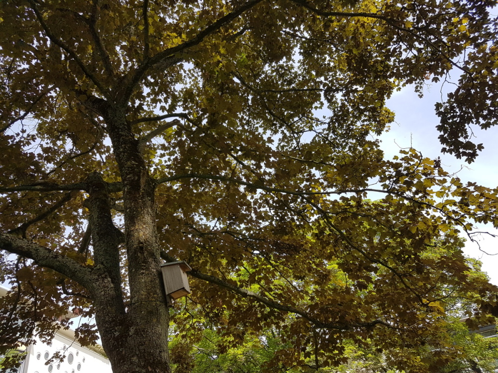 Impressionen aus dem Echelmeyerpark Impressionen aus dem Echelmeyerpark