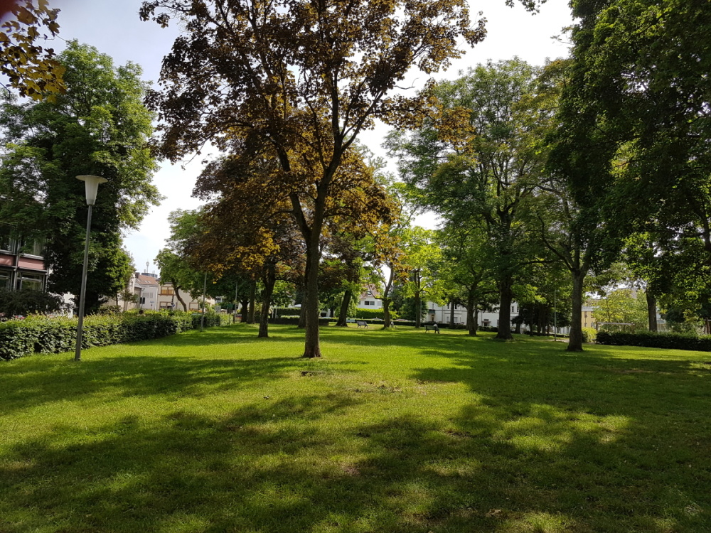 Impressionen aus dem Echelmeyerpark Impressionen aus dem Echelmeyerpark