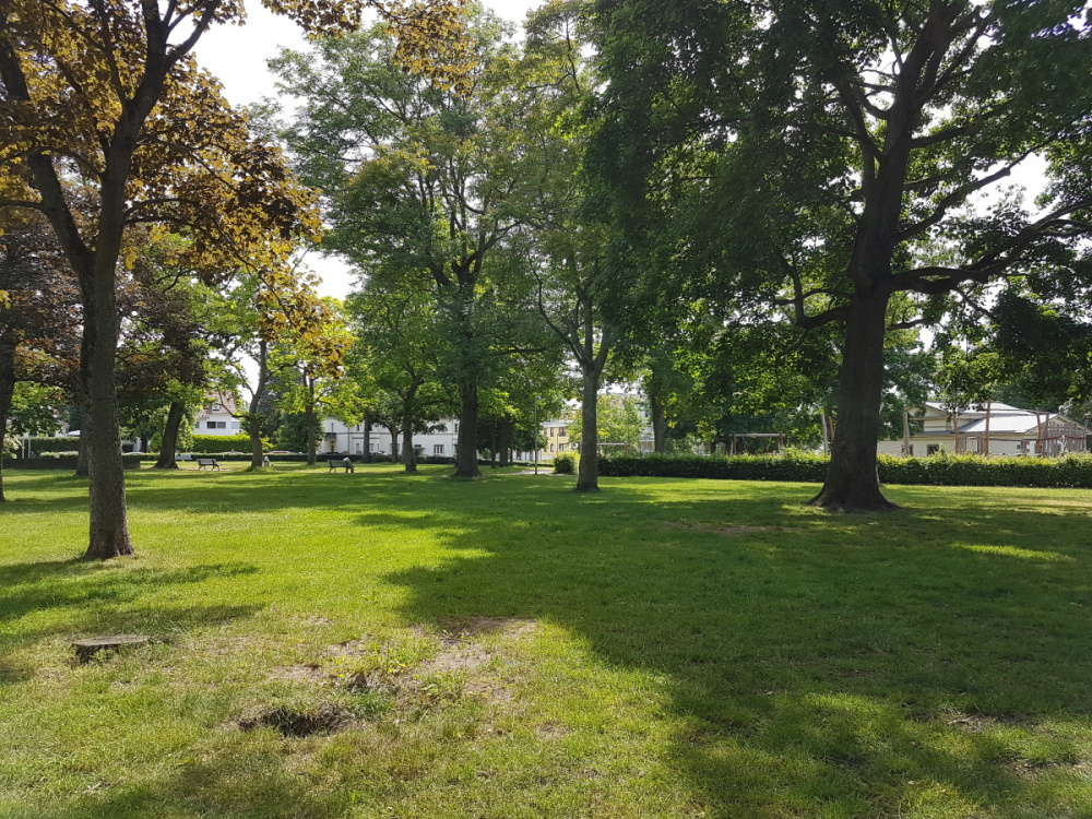 Impressionen aus dem Echelmeyerpark Impressionen aus dem Echelmeyerpark