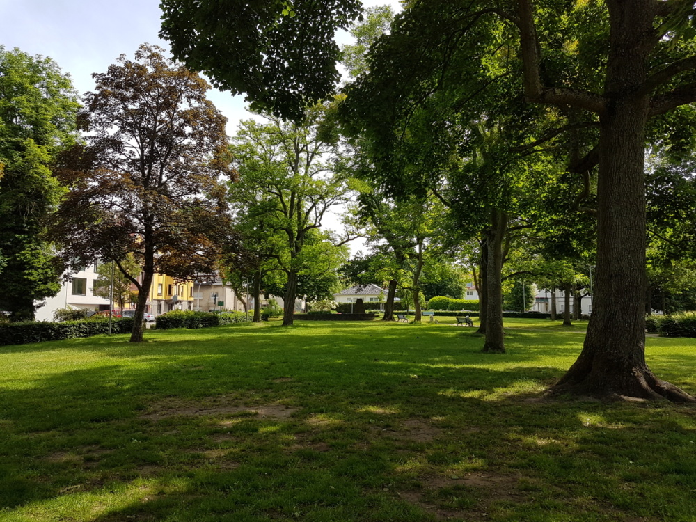 Impressionen aus dem Echelmeyerpark Impressionen aus dem Echelmeyerpark