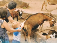 Familie im Saarbrücker Zoo Familie im Saarbrücker Zoo