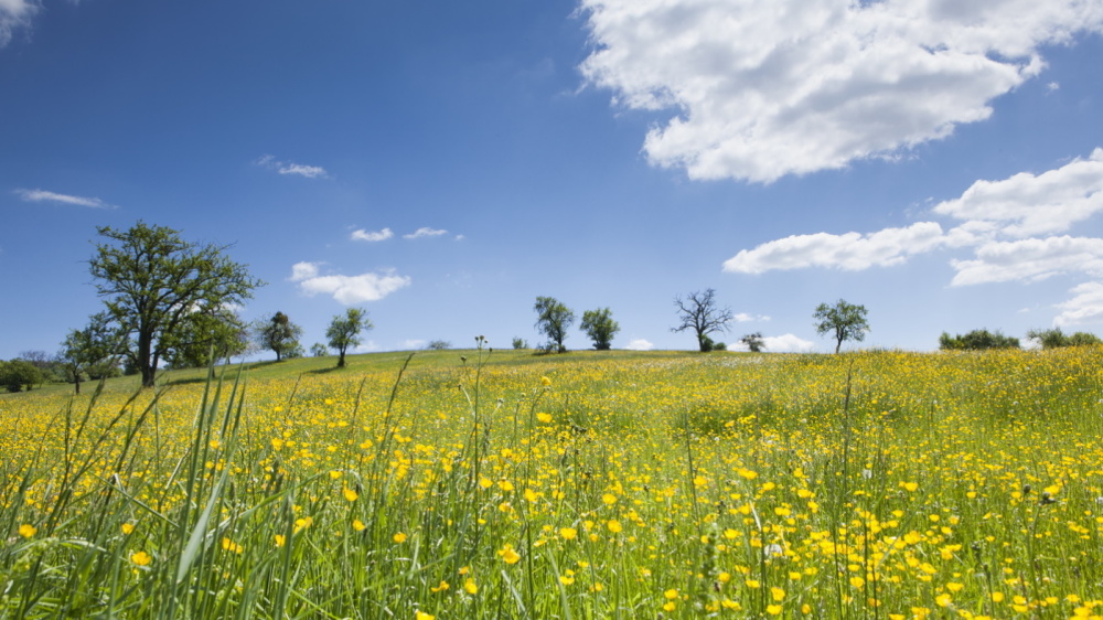 Kulinarische Wanderung Biosphäre Bliesgau Kulinarische Wanderung Biosphäre Bliesgau