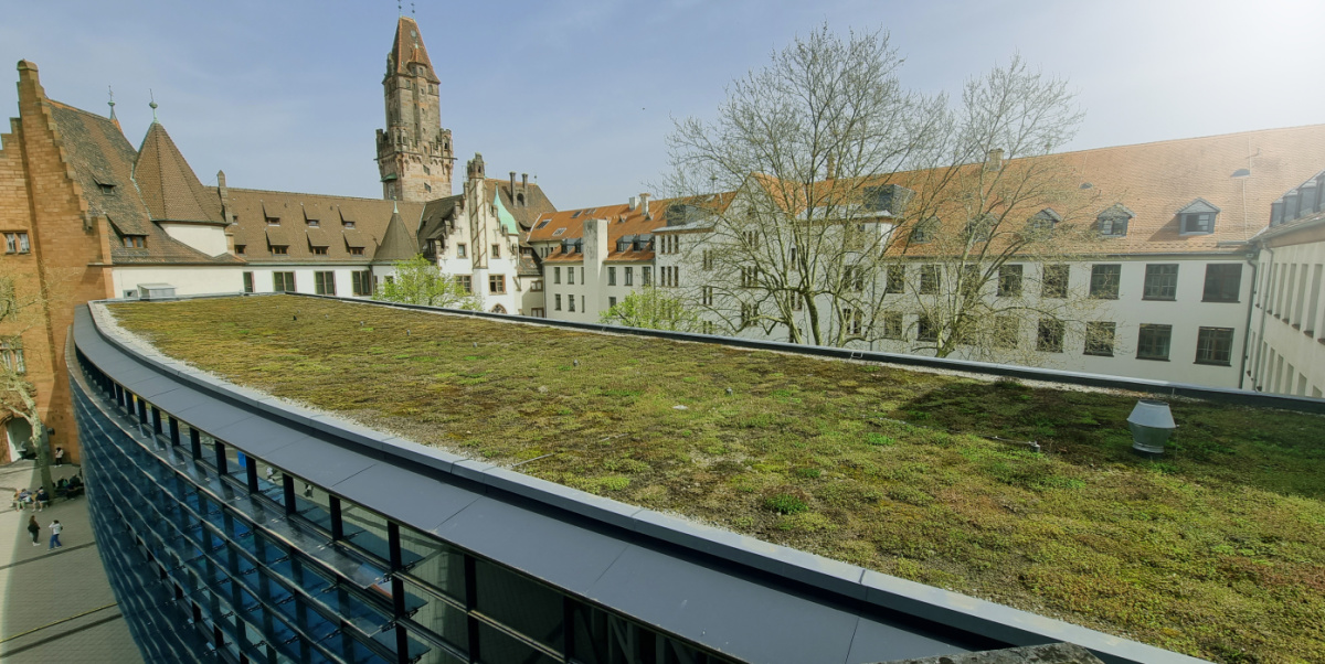 Rathausspange von oben mit begrüntem Dach