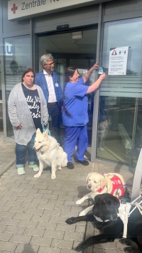 Asistenzhunde vor dem Klinikum Winterberg