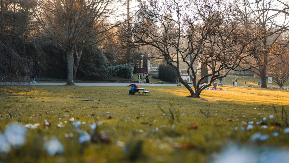 Deutsch-Französischer Garten Deutsch-Französischer Garten