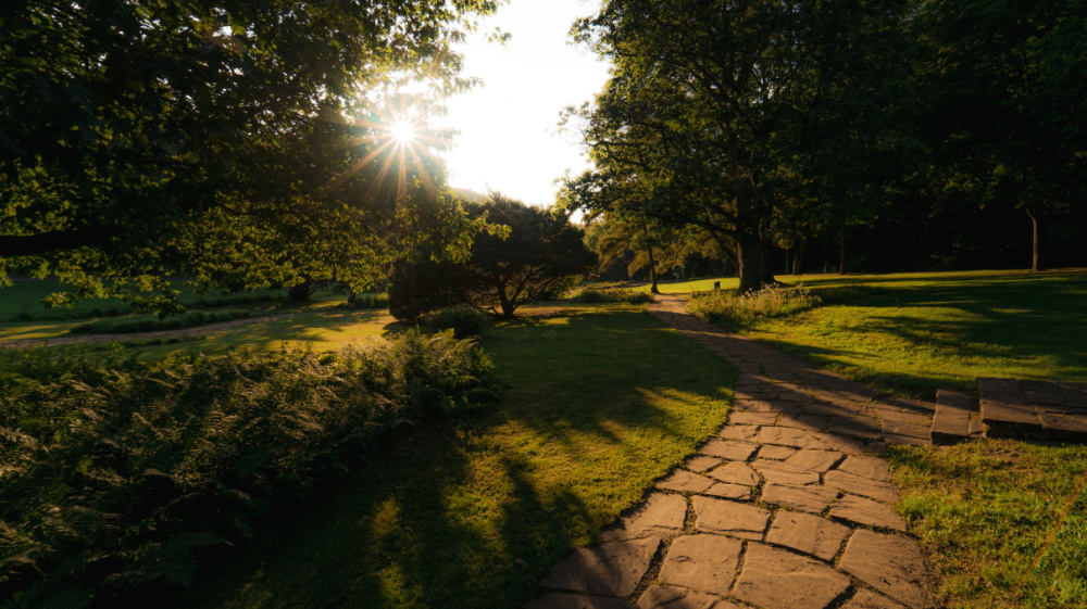 Deutsch-Französischer Garten Deutsch-Französischer Garten