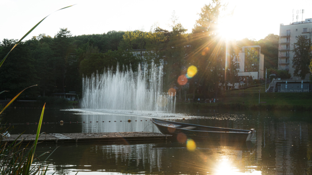 Deutsch-Französischer Garten Deutsch-Französischer Garten