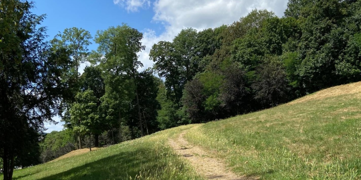 Ludwigspark Impressionen aus dem Ludwigspark