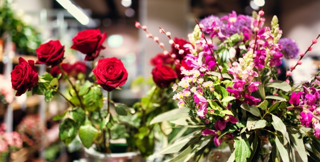 Blume 2000 Image