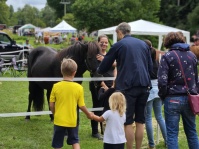 Kinderfest 2023 /Alslakeur Hof Kinderfest 2023 /Alslakeur Hof, Pferde und Menschen