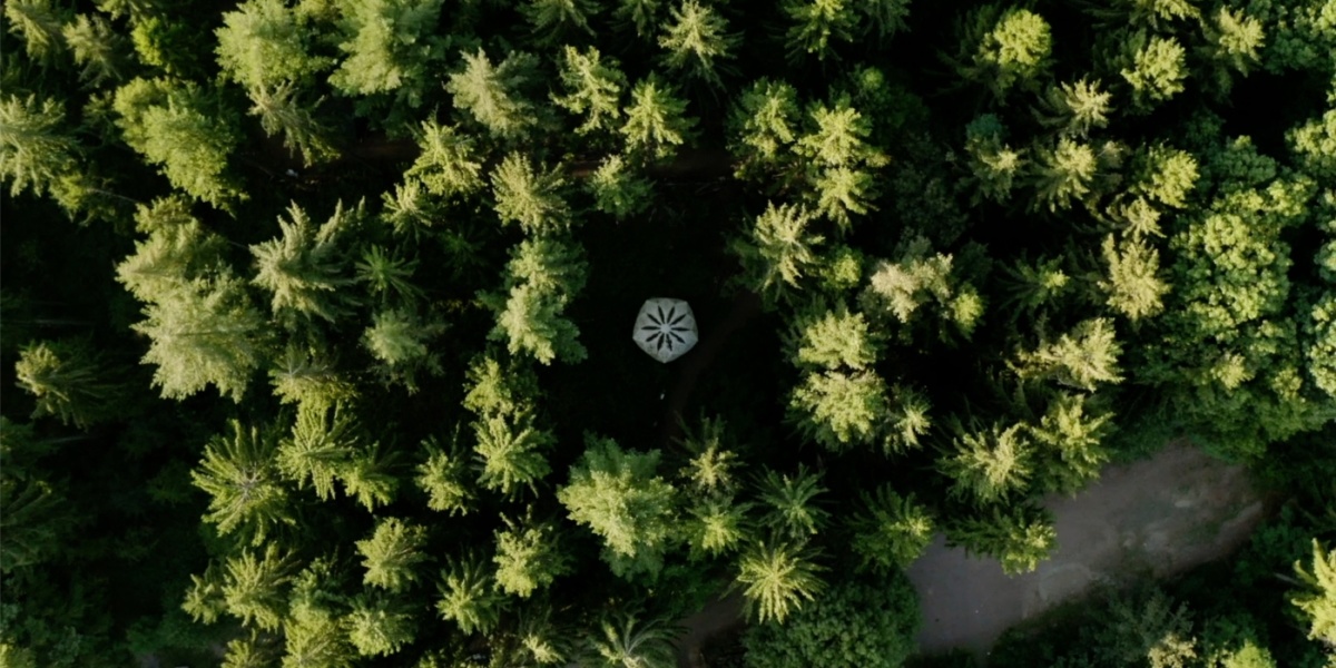 Urwald vor den Toren der Stadt