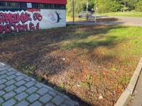 Sportplatz und Grünstreifen mit Müll