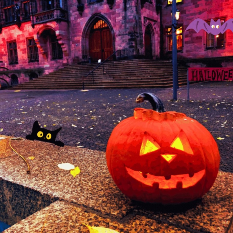 Rathaus St. Johann mit einem geschnitzen Kürbis, aufgezeichnet dazu eine süße Katze, Spinne und Fledermaus.