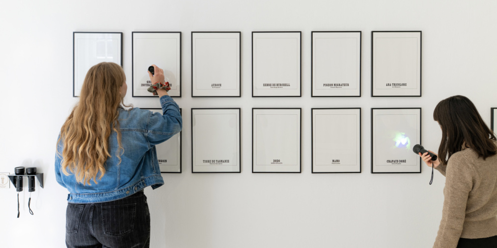 Zwei Personen leuchten die Galerie d’espèces disparues von France Cadet mit Taschenlampen an