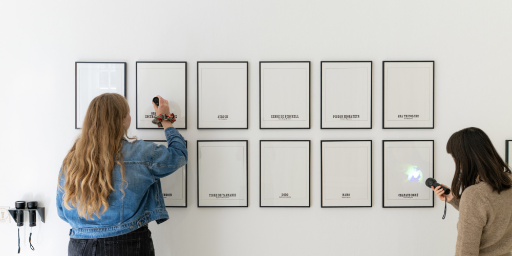 Galerie d’espèces disparues von France Cadet Zwei Personen leuchten die Galerie d’espèces disparues von France Cadet mit Taschenlampen an