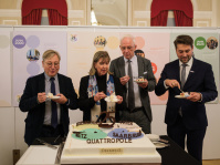 Vier Personen stehen an einem großen Kuchen und schneiden ihn an